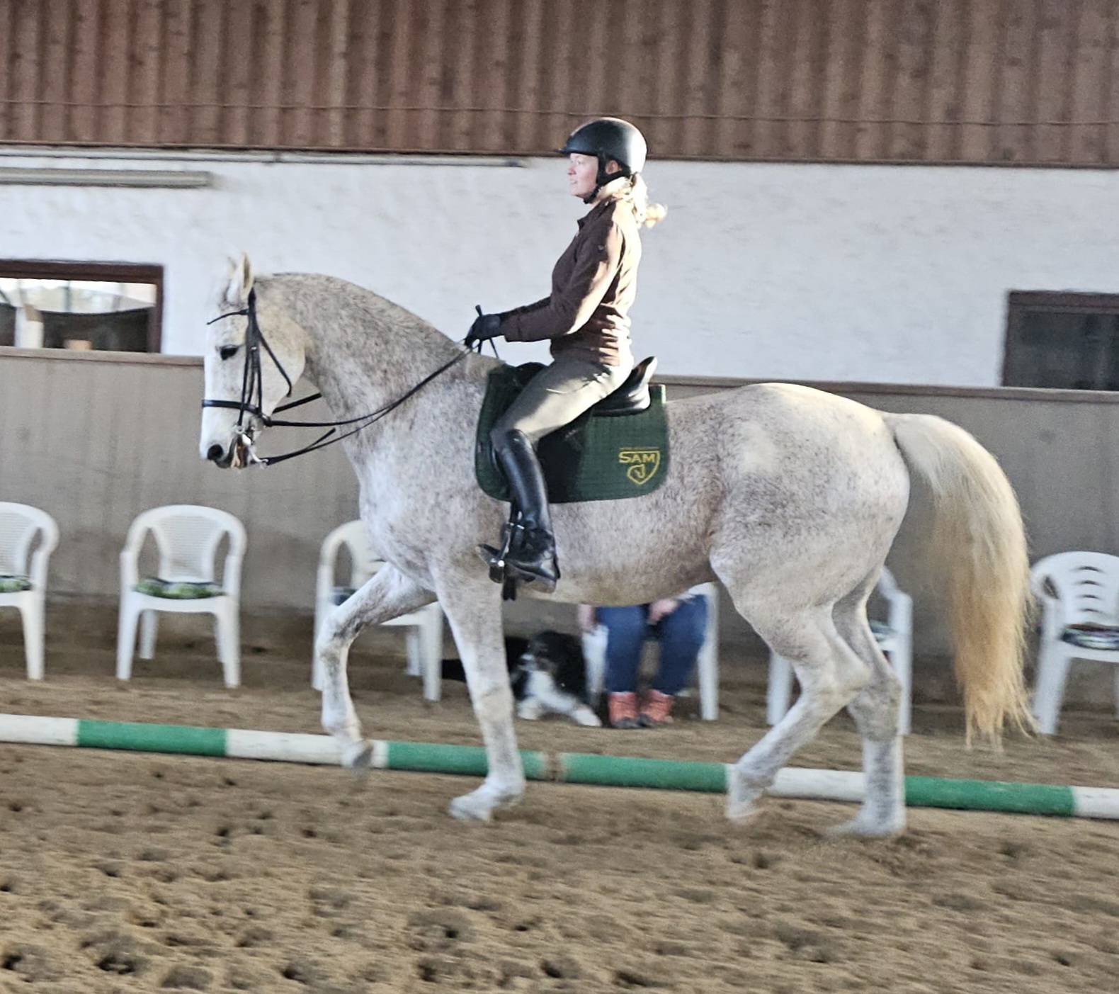 Reitunterricht und Beritt